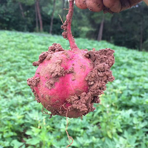 ���ǙC(j��)е