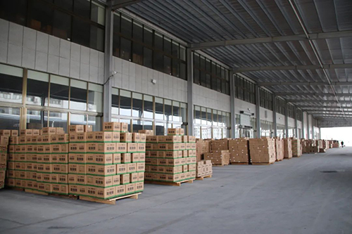 麗星粉絲生產(chǎn)線廠家 麗星粉絲生產(chǎn)線廠家