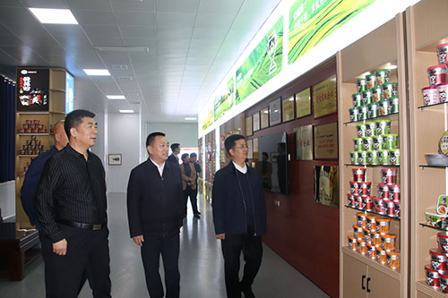 國家、省、市鄉(xiāng)村振興局等**一行蒞臨麗星公司進行調(diào)研工作