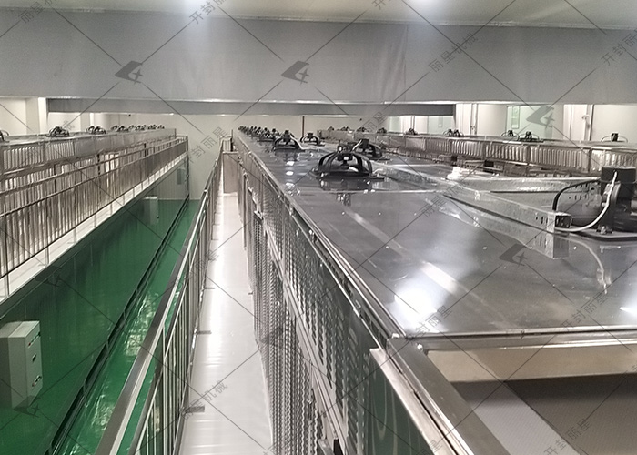 麗星酸辣粉、鮮粉生產(chǎn)線  落戶重慶試機(jī)現(xiàn)場