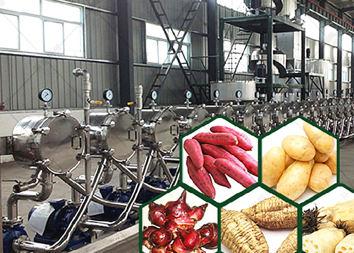 淀粉加工設(shè)備廠家麗星詳解淀粉的分類依據(jù)